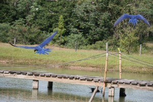 South America | 2012