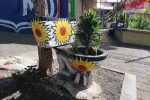 South America | 2018