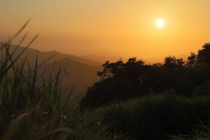 South America | 2018