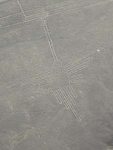 South America | 2015