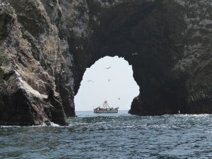 South America | 2015